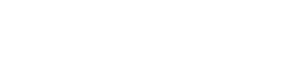 Datastealth logo